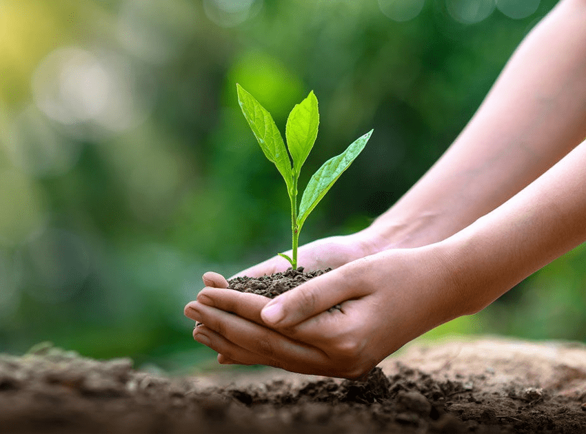 Sustainable Adhesives, Biodegradable & Palletizing Products APPLIED